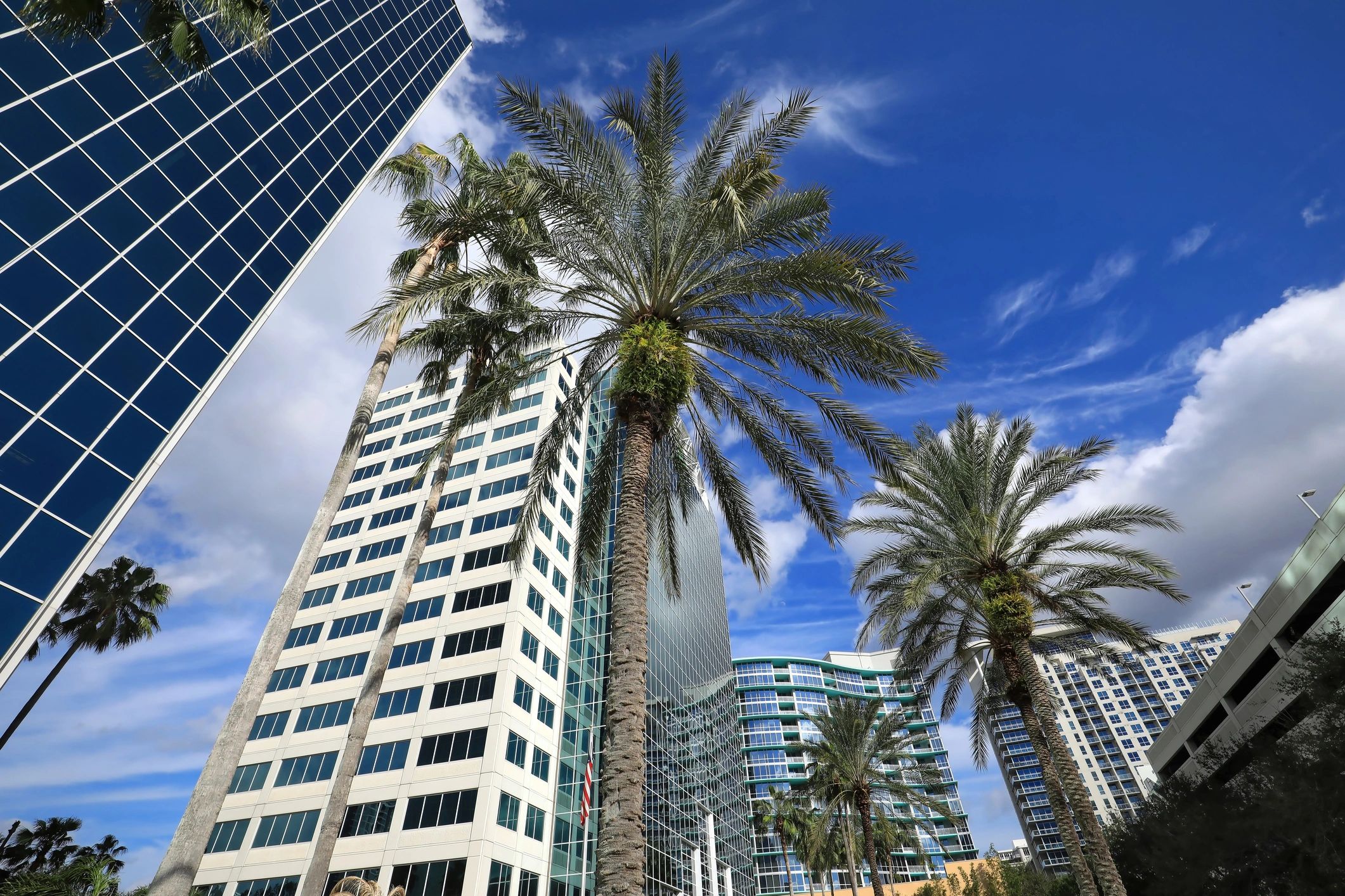 attorney office professional service Florida
