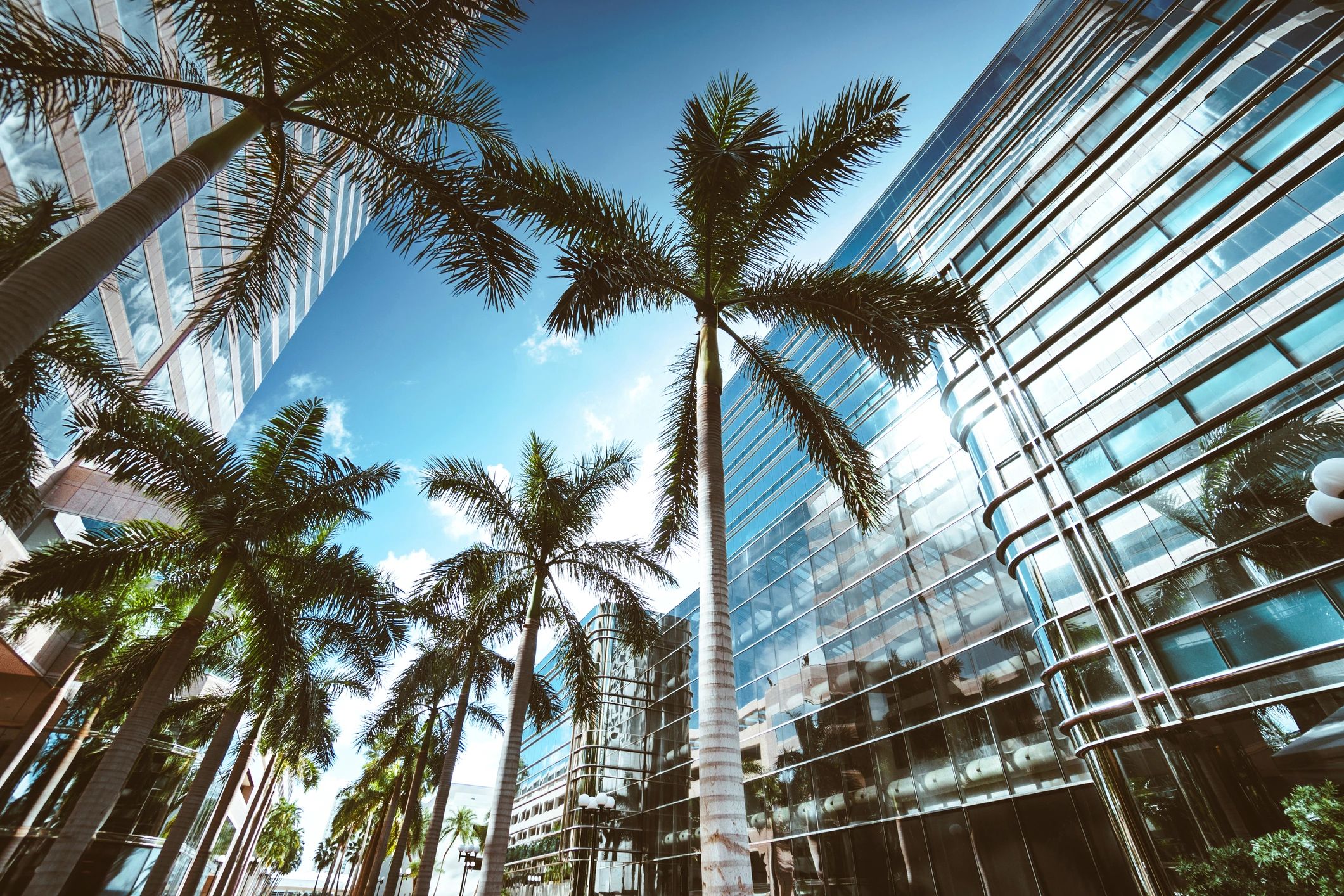 attorney office professional service Florida